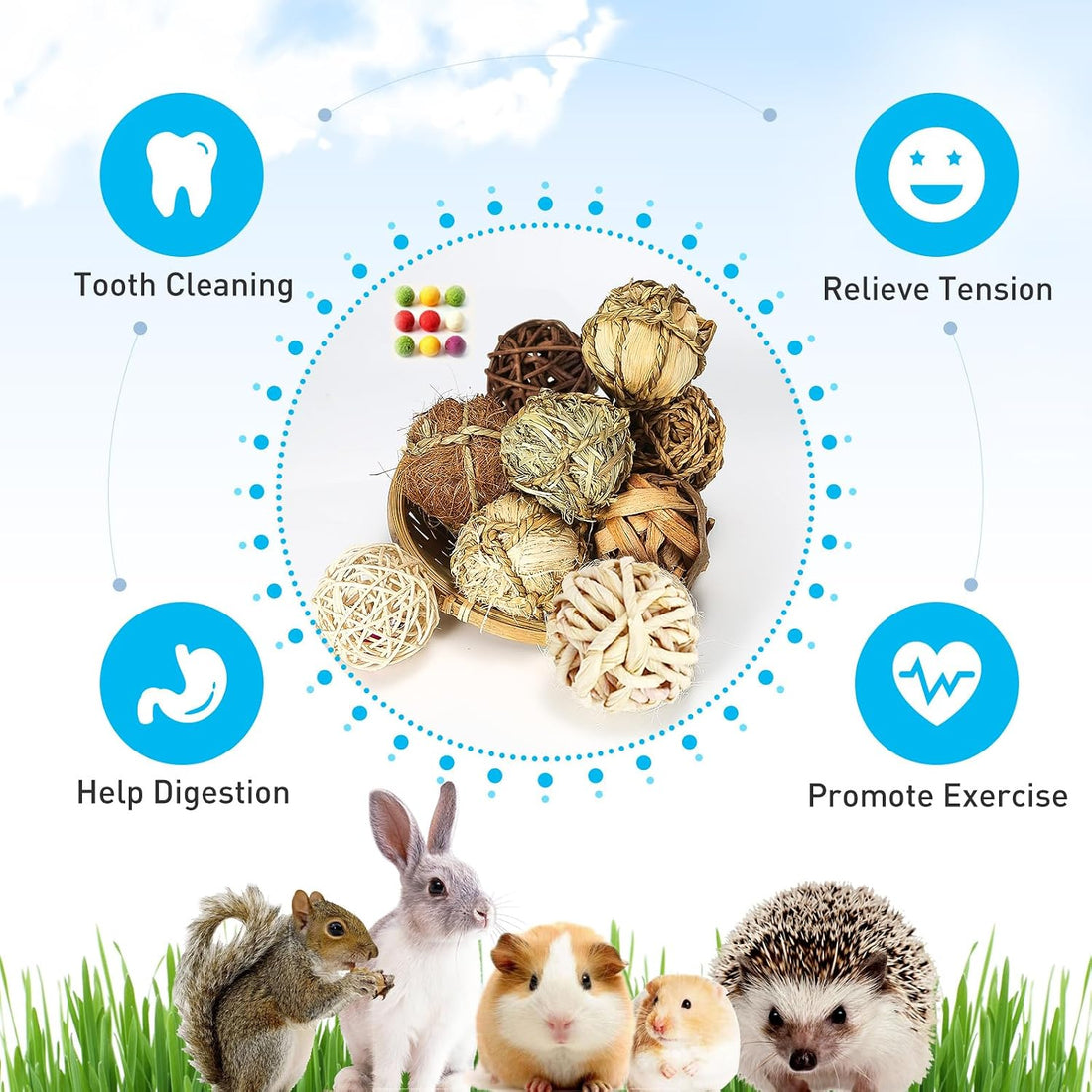 9PCS Bunny Chew Grass Balls with Rope