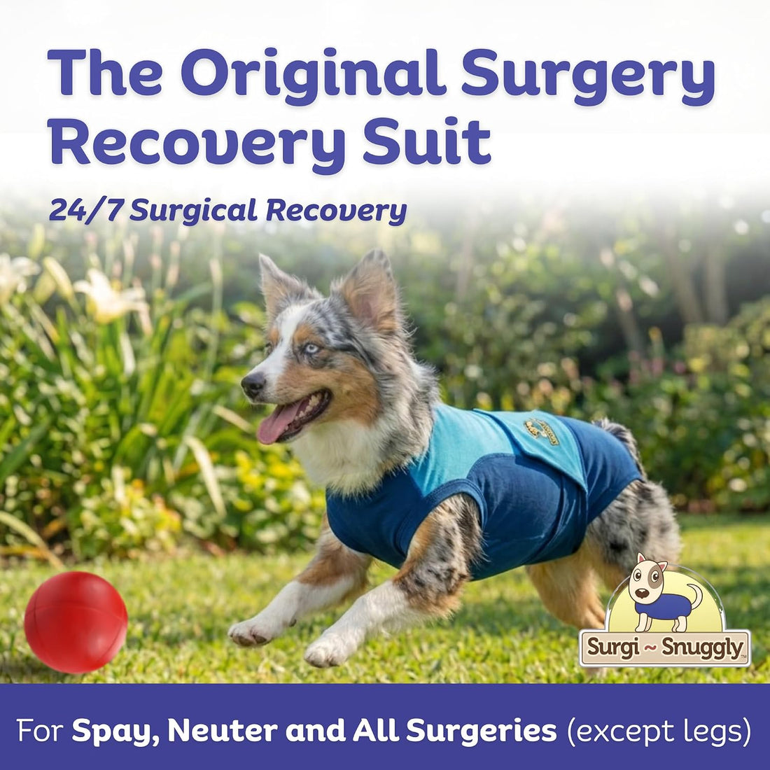 Surgi Snuggly Dog Surgery Recovery Suit