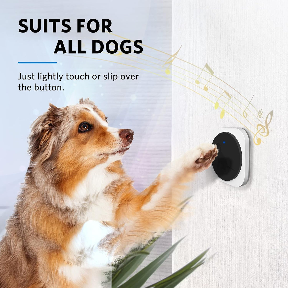 Wireless Dog Doorbell to Go Outside with 4 Notification Modes