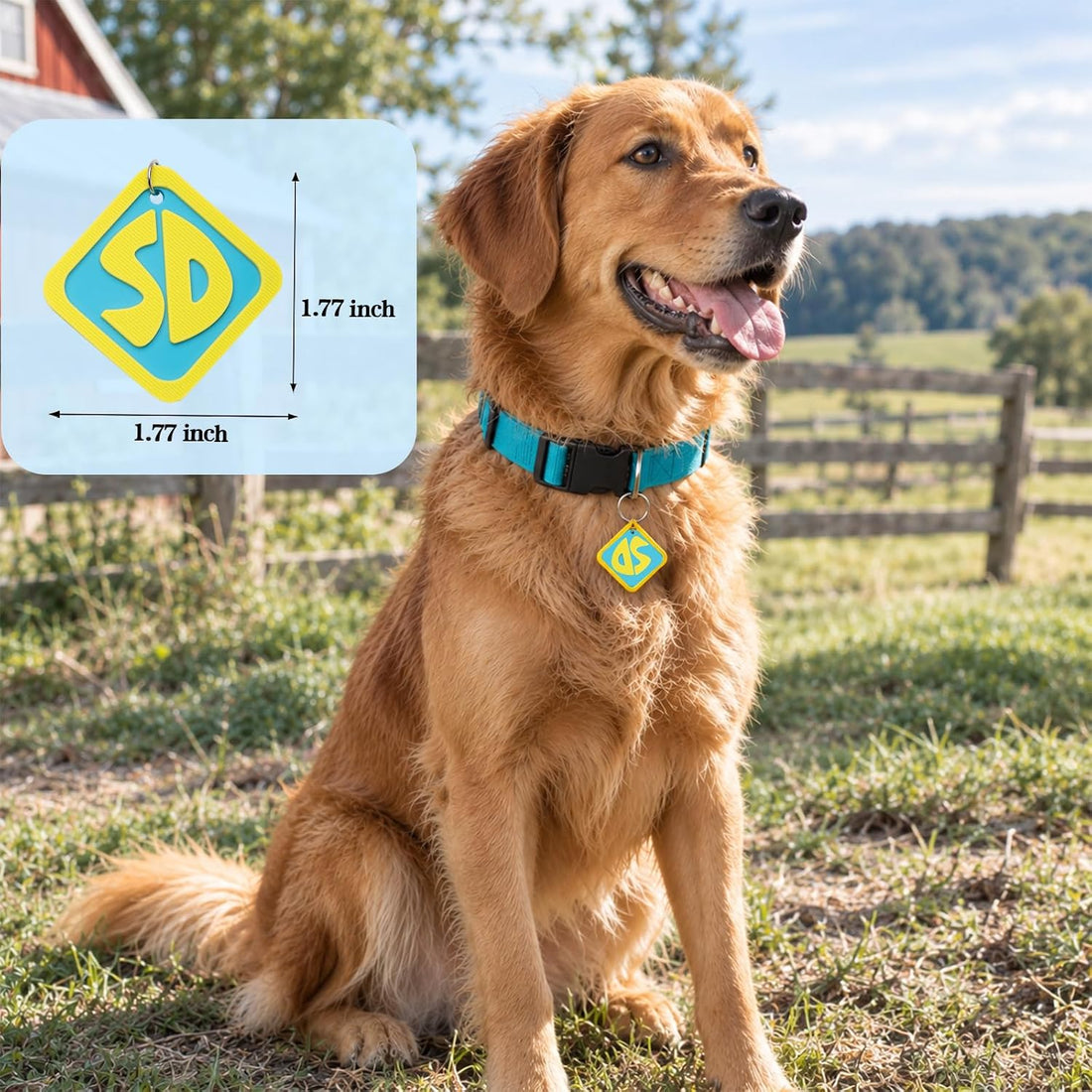 Dog Halloween Costume, Dog Tag with Nylon Adjustable Collar for Dogs