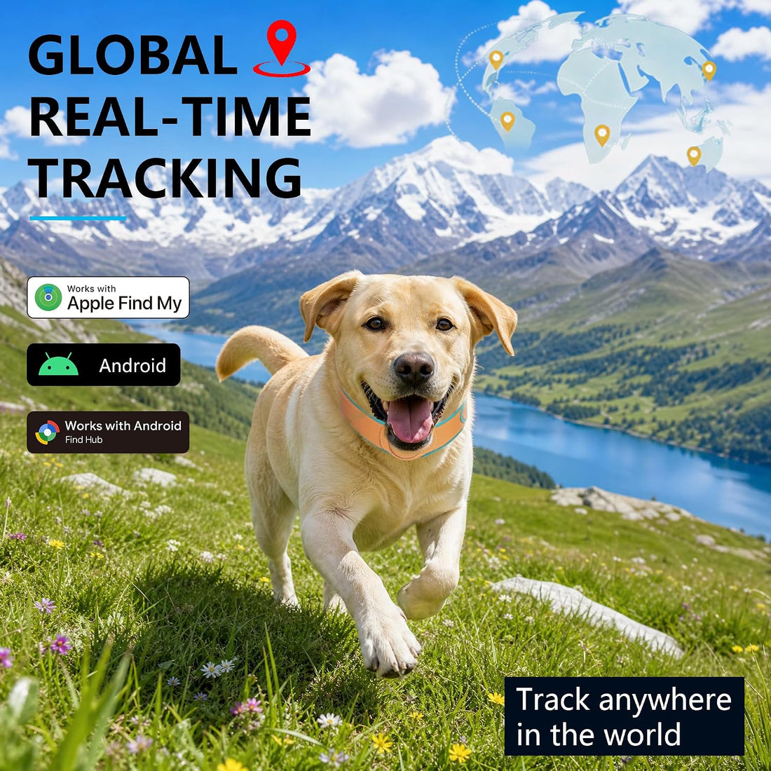 GPS Tracker for Dogs, Dog GPS Tracker