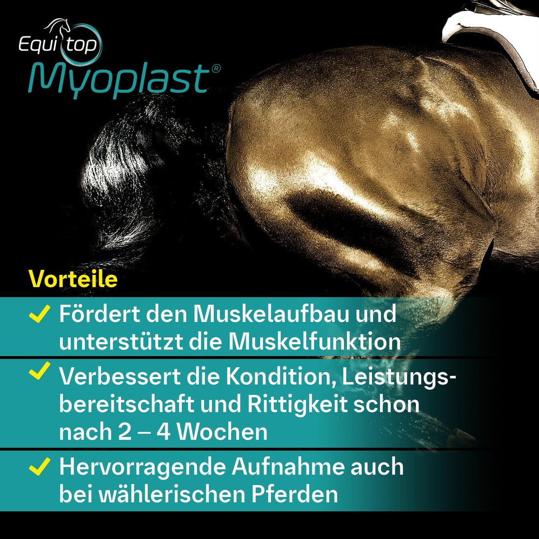 Equitop Myoplast Supplement for Horses 1.5kg