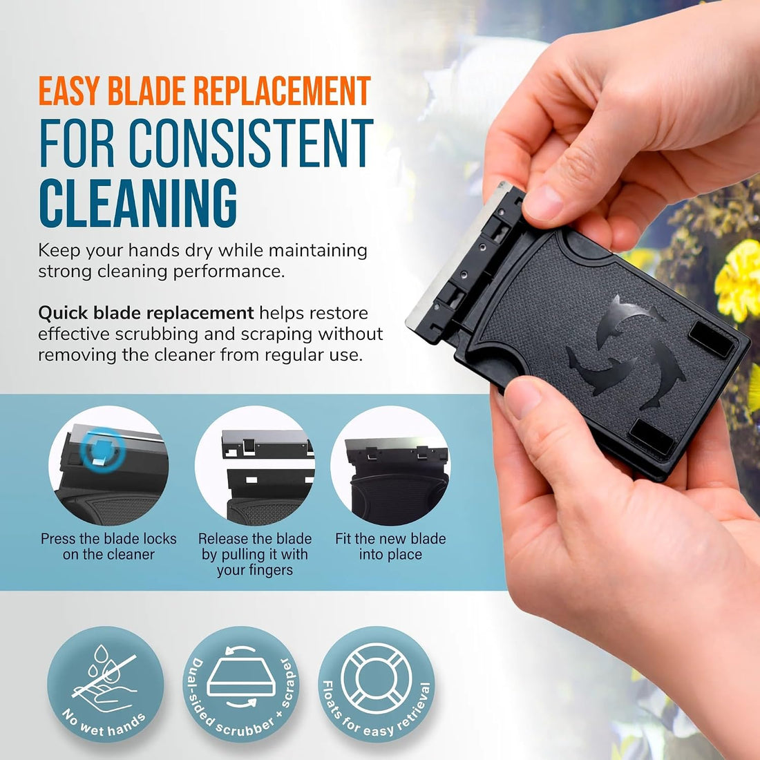 Flipper Standard Algae Scraper Replacement Blades, Stainless Steel