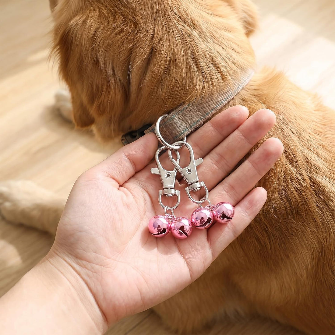 2 Pcs Cat Bell for Dog Collar Charm Training Bells for Dog Collars