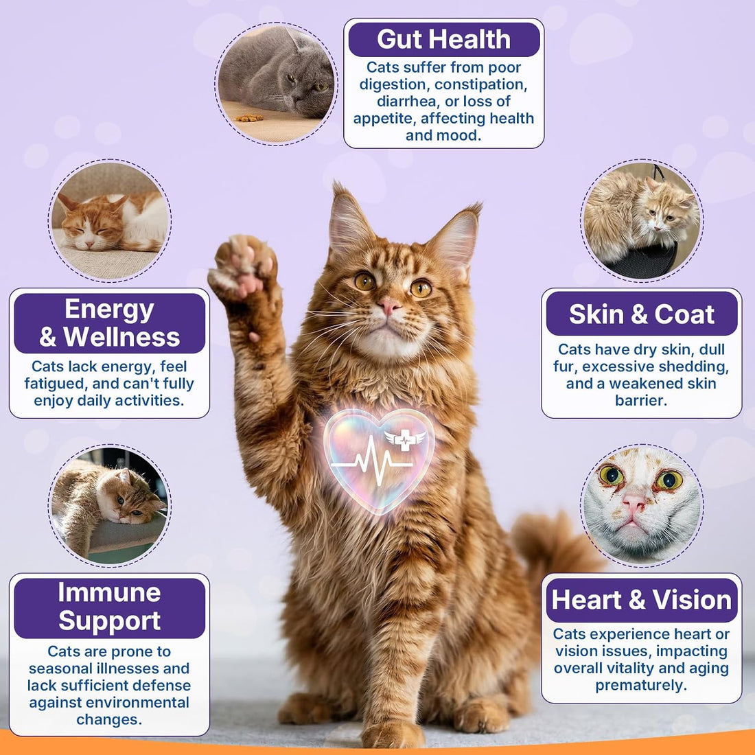Taurine for Cats Vitamins Treats
