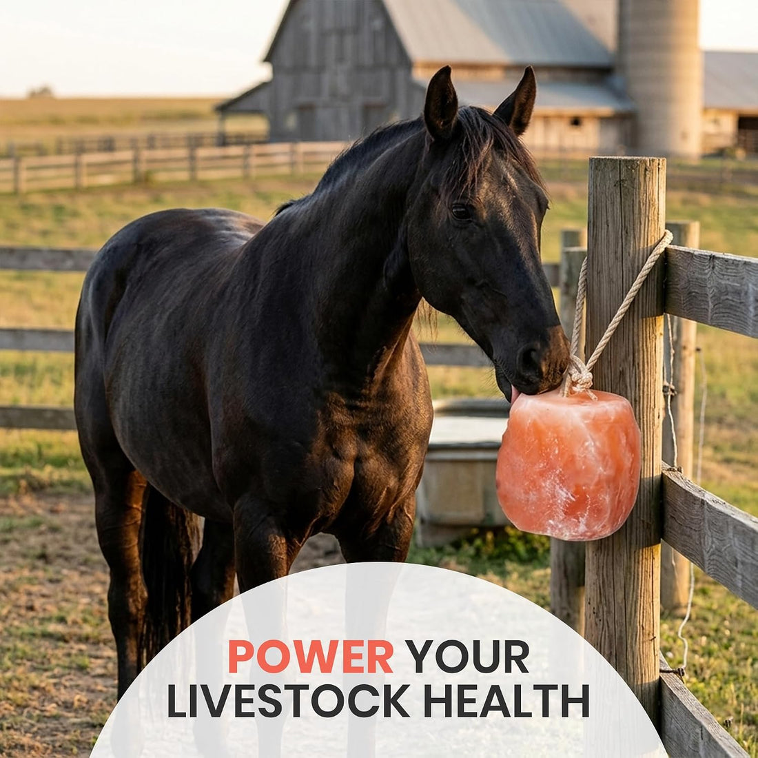 6 Himalayan Salt Block for Horses with Rope Natural Horse Salt Lick