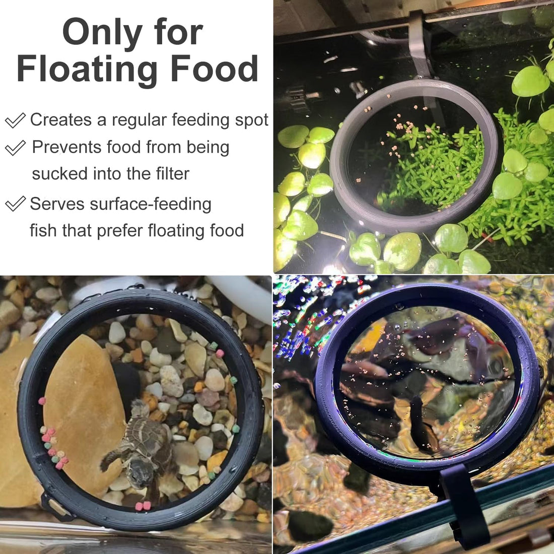 Clip On Fish Feeding Ring Self-Adjusting to Water Level for Betta