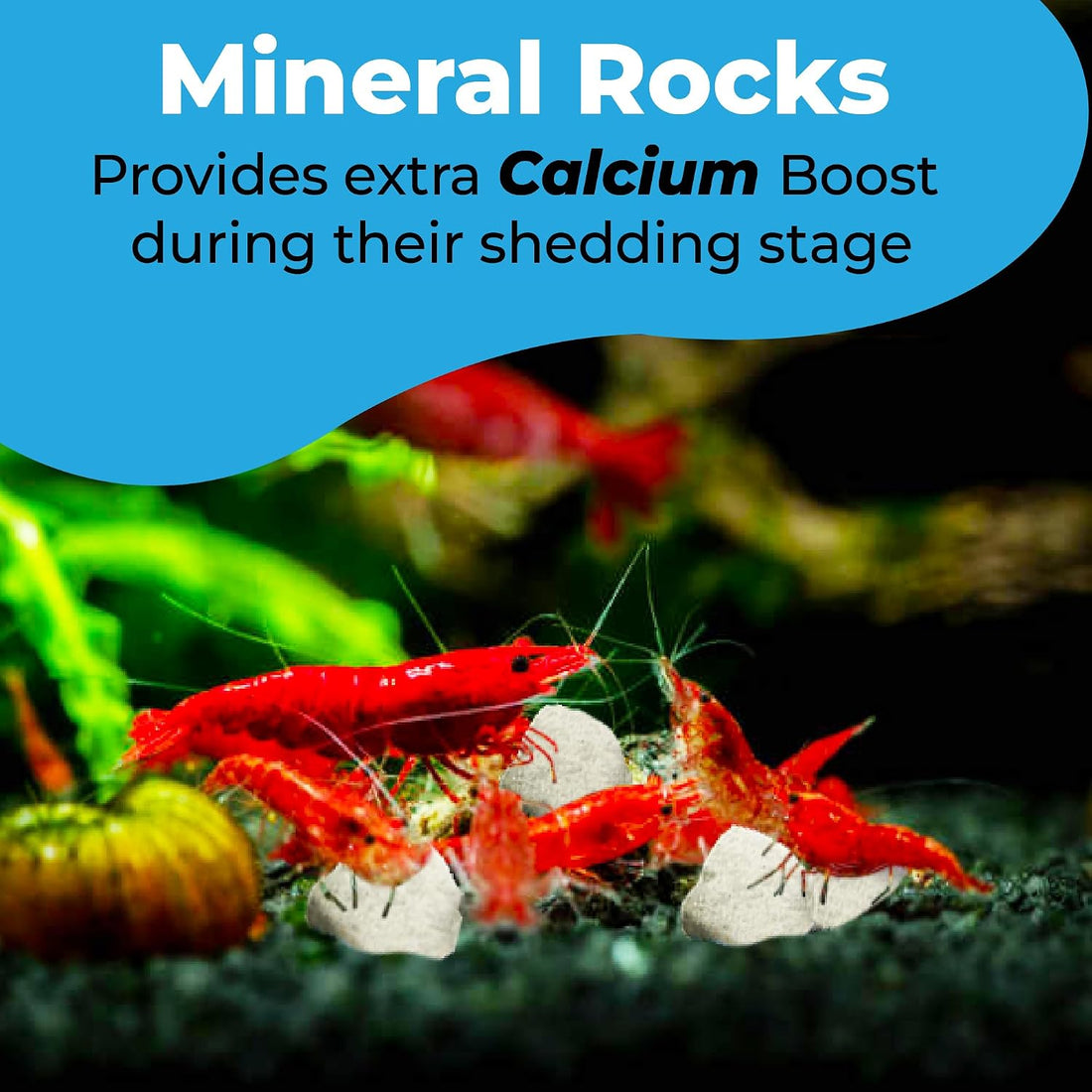 JOR Calcium Rocks for Shrimps, Color Enhancing Breeding Hideout