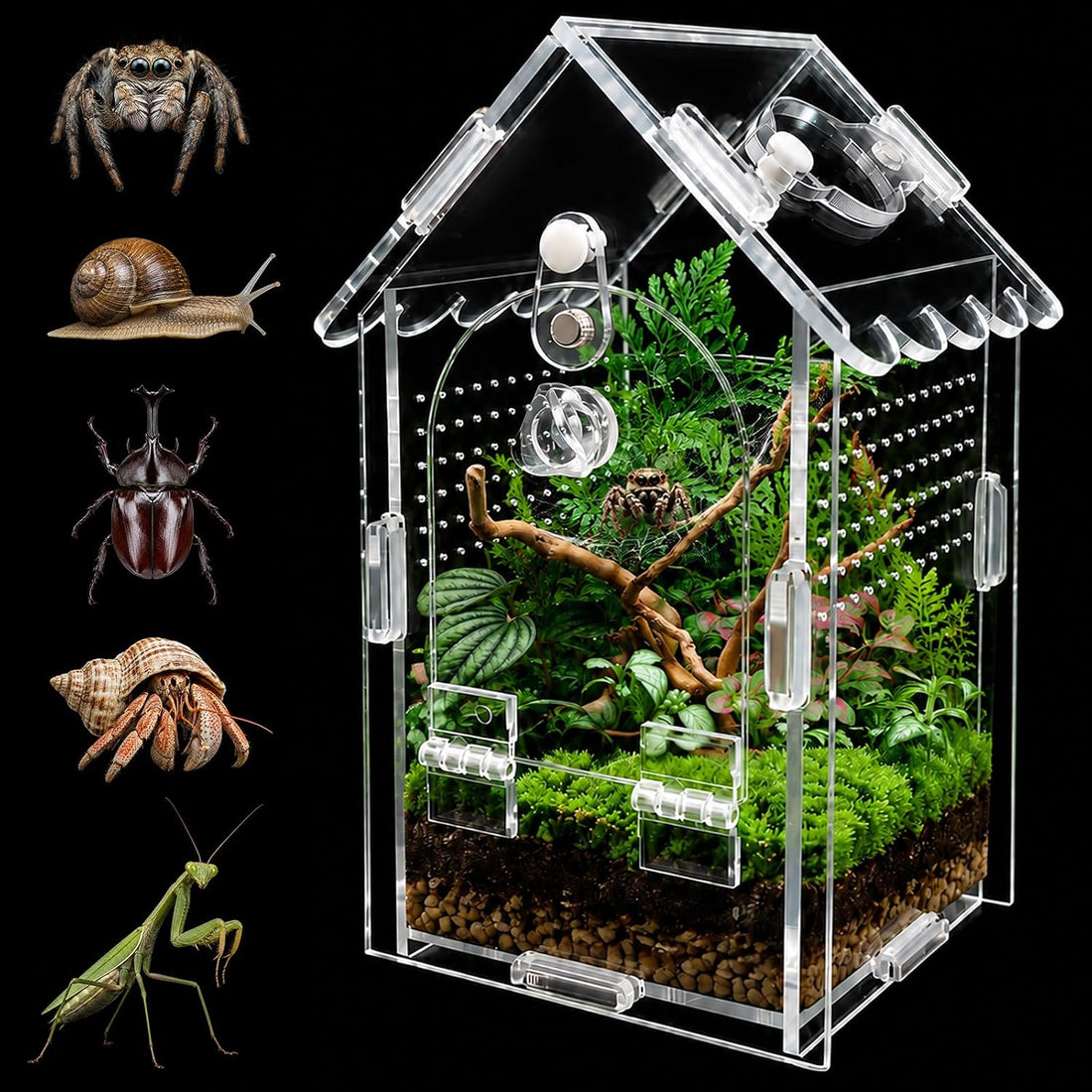 Jumping Spider Enclosure, House-Shaped Acrylic Habitat, Magnetic Door
