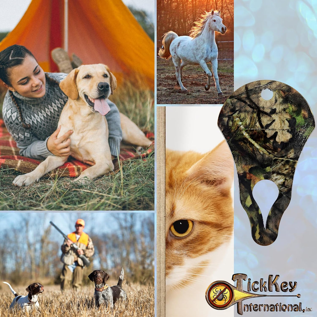 The Original Tick Key - Tick Detaching Device - Portable