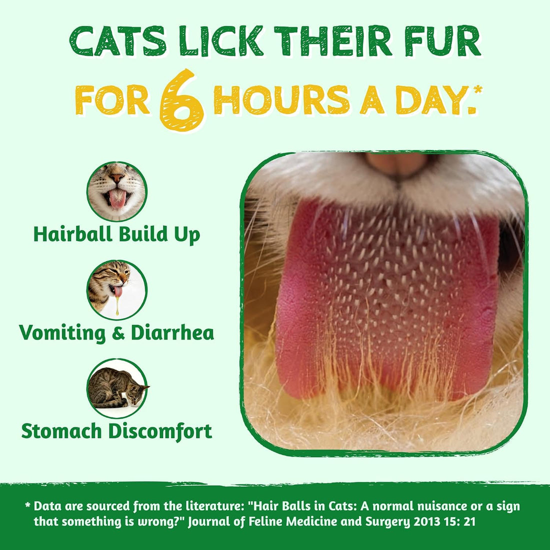Just Try Cat Grass Treats for Indoor Cats Hairball Control 13.4 OZ