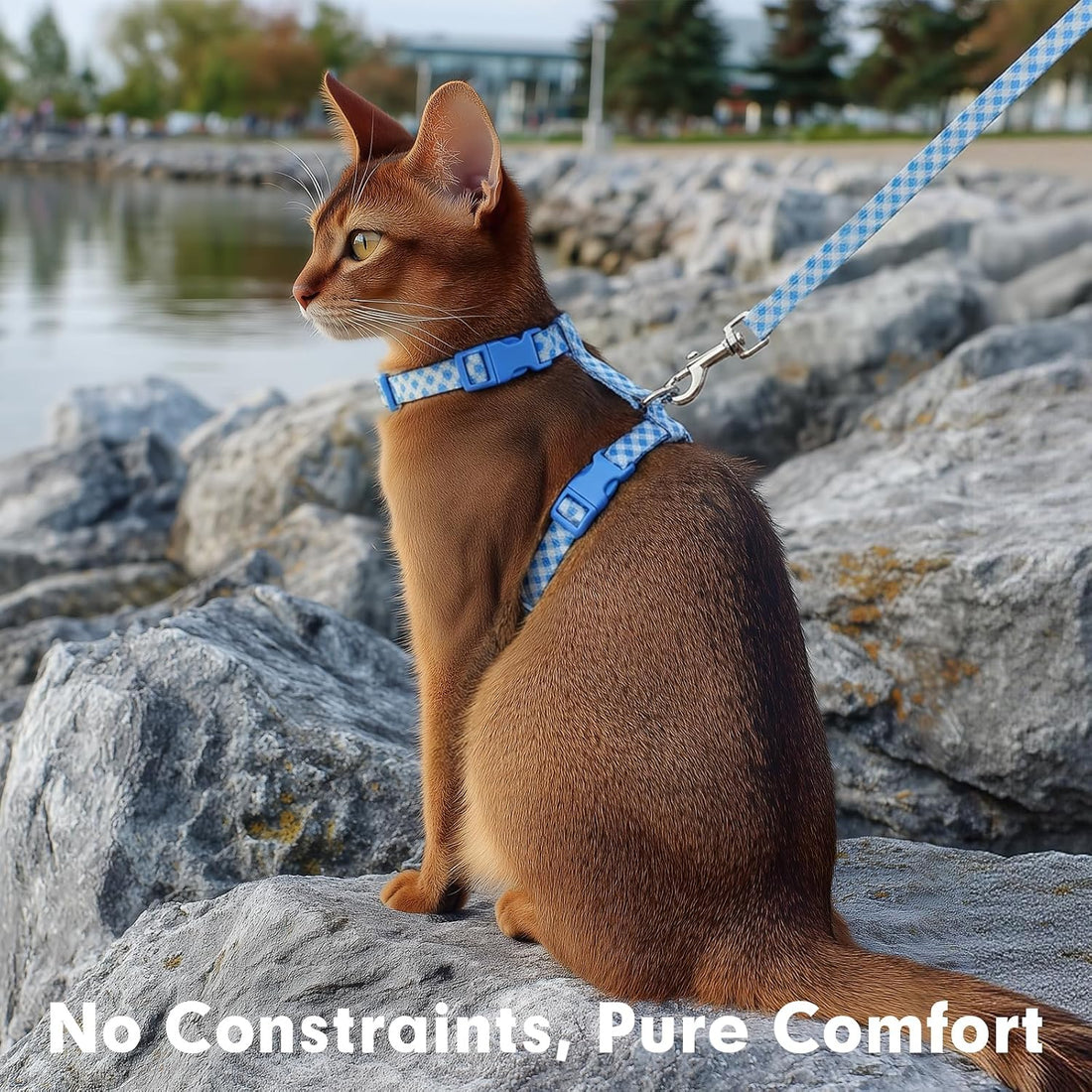 azuza Cat Harness and Leash Set, Escape Proof for Safe Walking