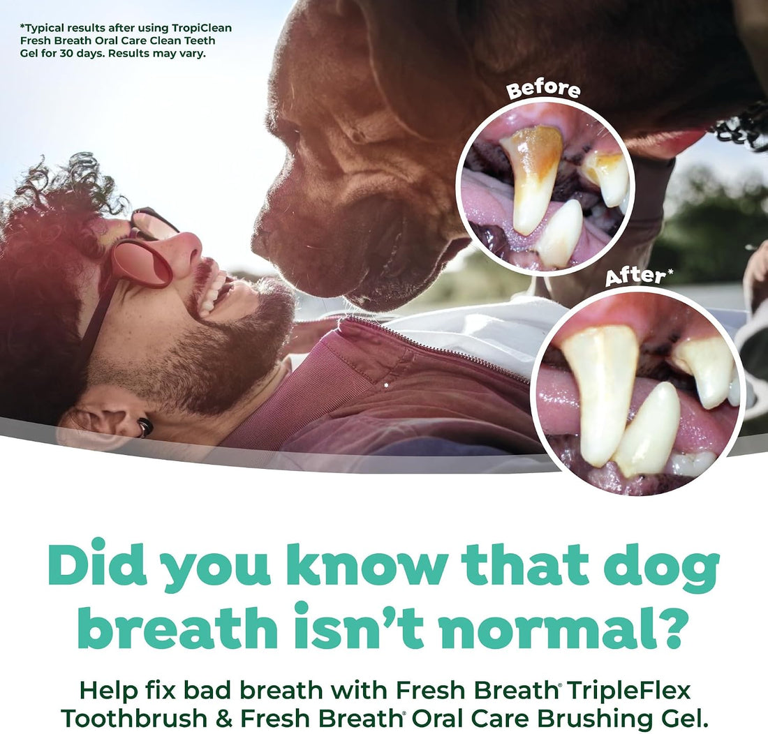 TropiClean Frehs Breath Tripleflex Dog Toothbrush for Large Dogs
