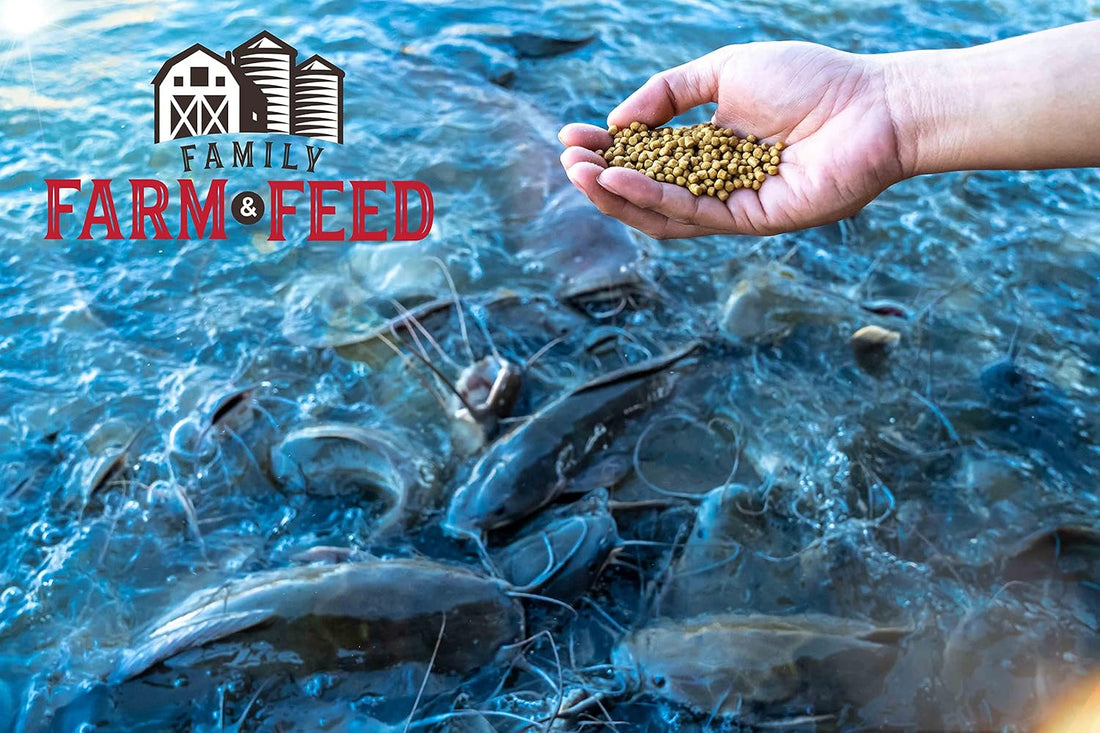 Premium Floating Fish Food | Pond and Lake | Pellets | 2 Pounds