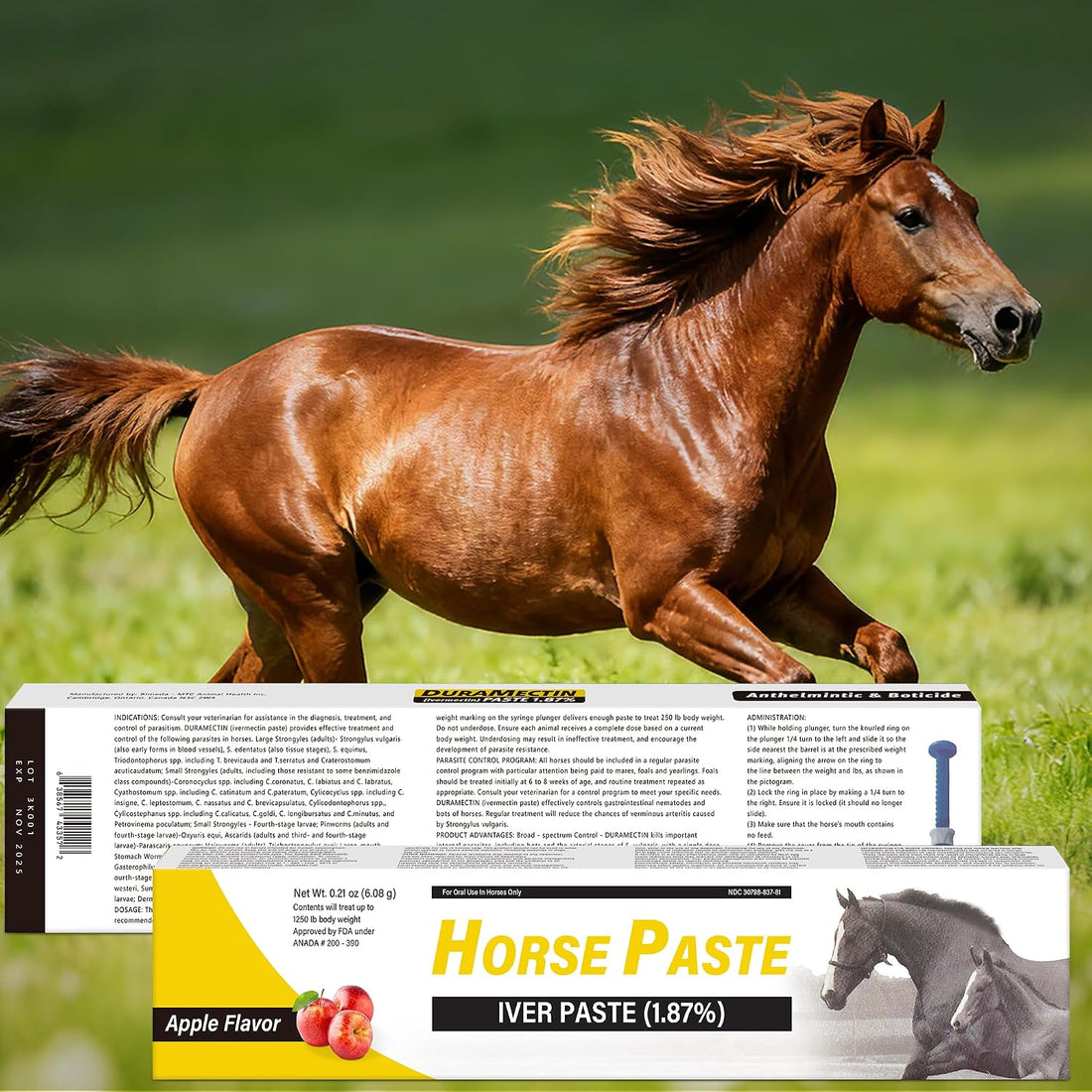 12 Pack Equine Paste 1.87% – Apple Flavored Oral for Horse