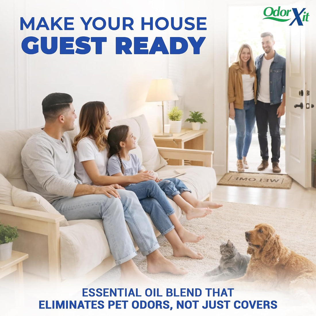 OdorXit Pet Urine Odor Eliminator