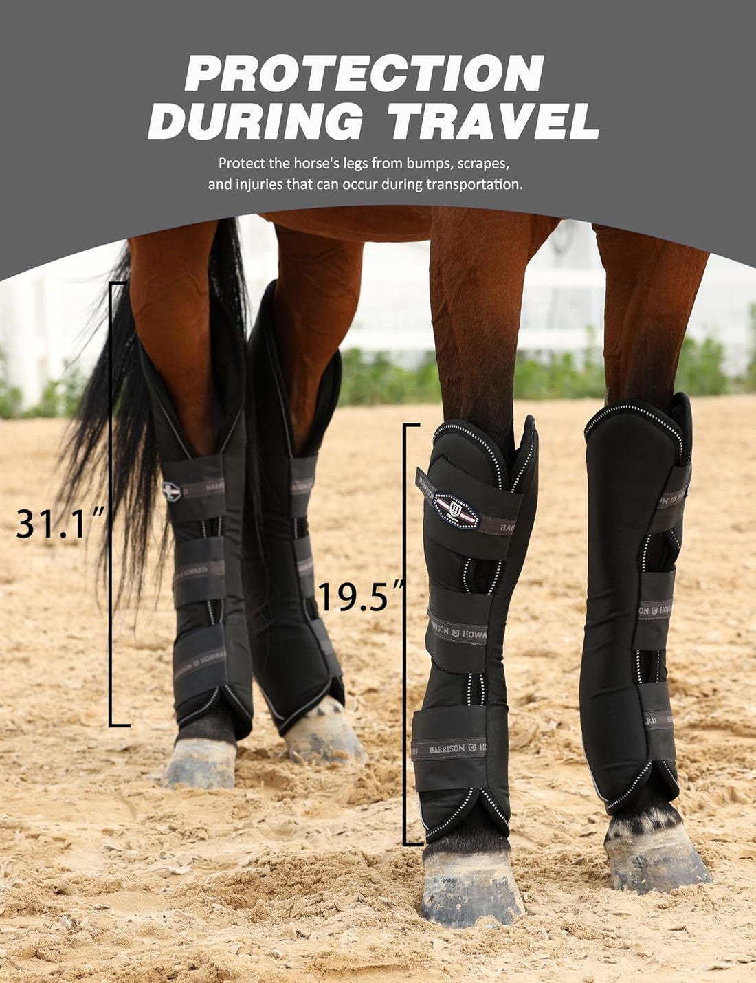 Harrison Howard Premium Shipping Boots for Horses Set of 4 Travel