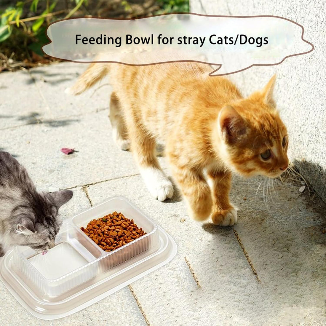50PCS Disposable Pet Bowls – Anti-Ant Cat and Dog Food Bowls