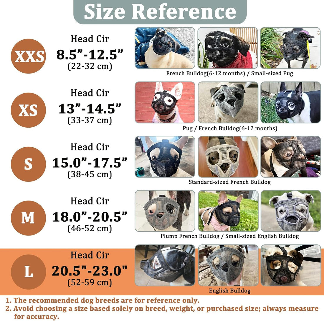 Mayerzon English Bulldog Muzzle