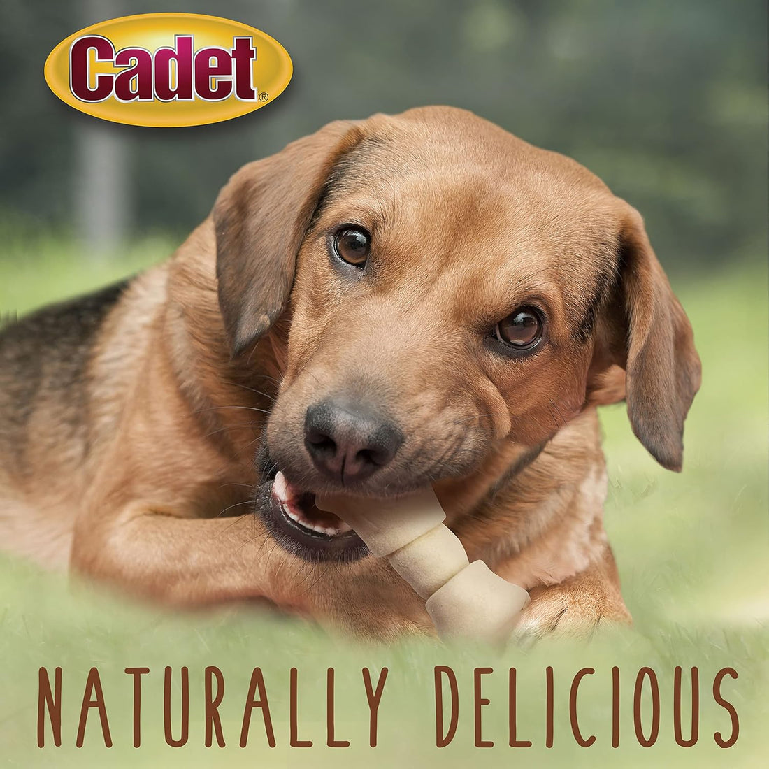 Cadet Premium Grade Beef Hide Knotted Bones Dog Chews, 2 lbs, 4-5"
