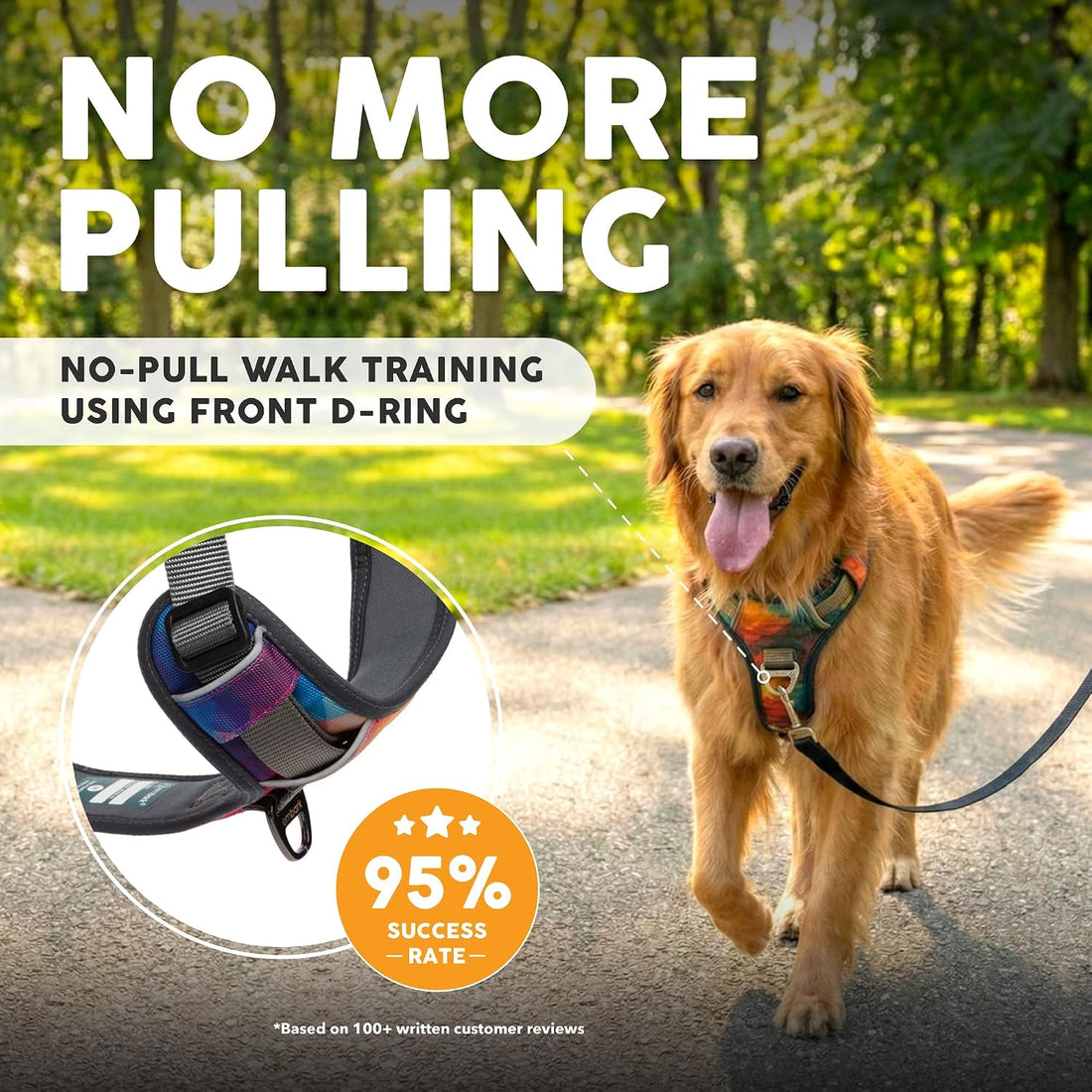 Embark Adventure No Pull Dog Harness