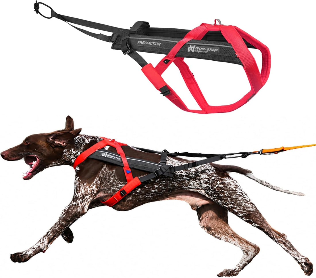 Non-stop dogwear Freemotion Harness 5.0 Dog Pulling Harness