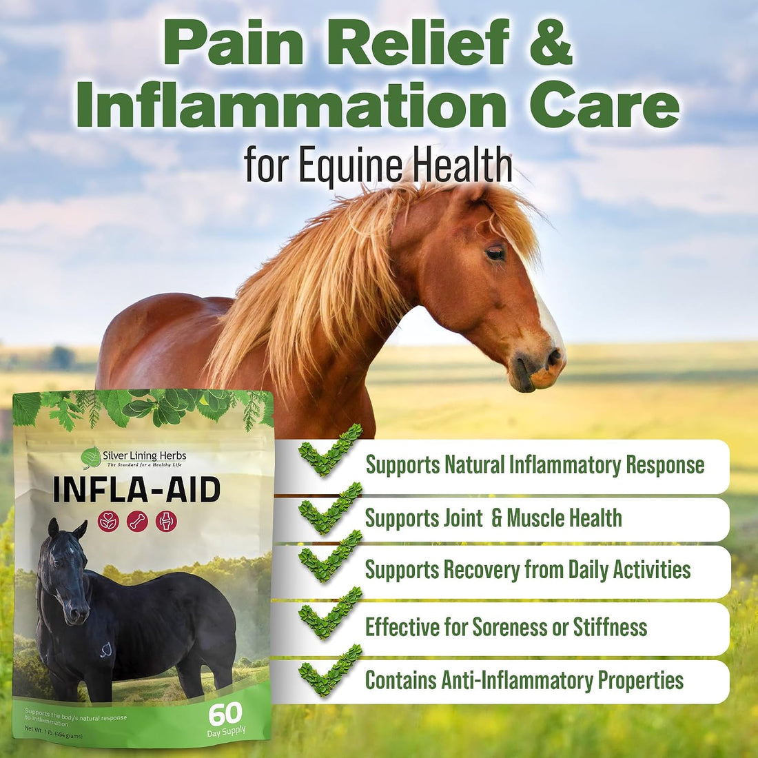 Silver Lining Herbs Infla-Aid Inflammation Relief Supplement - 1 lb