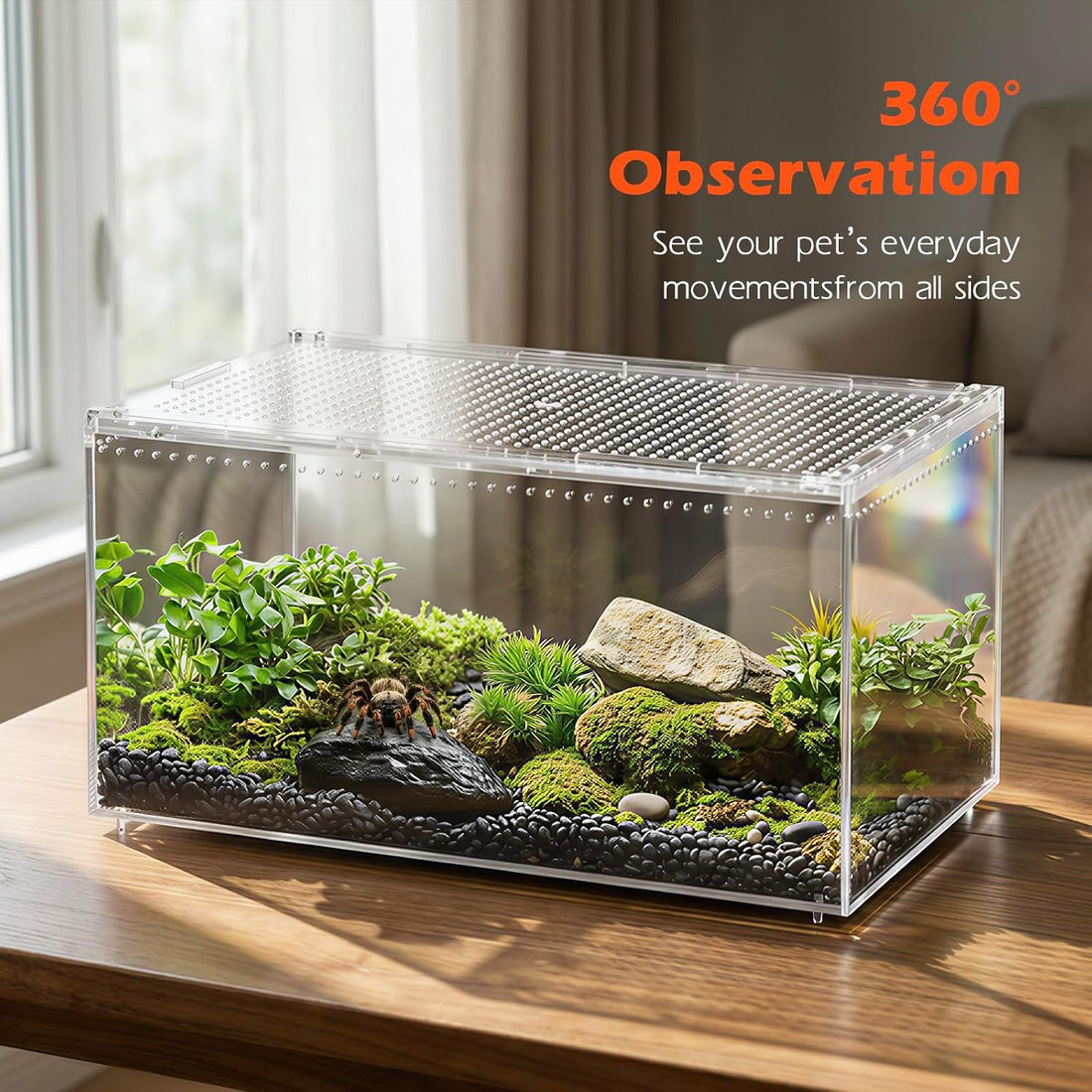 AZV Escape-Proof Tarantula Enclosure,2.37 Gallon Clear PC Reptile