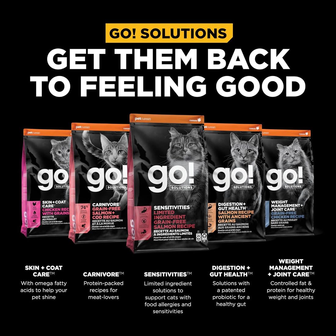 Go! Solutions Sensitivities Limited Ingredient Salmon Dry Cat Food
