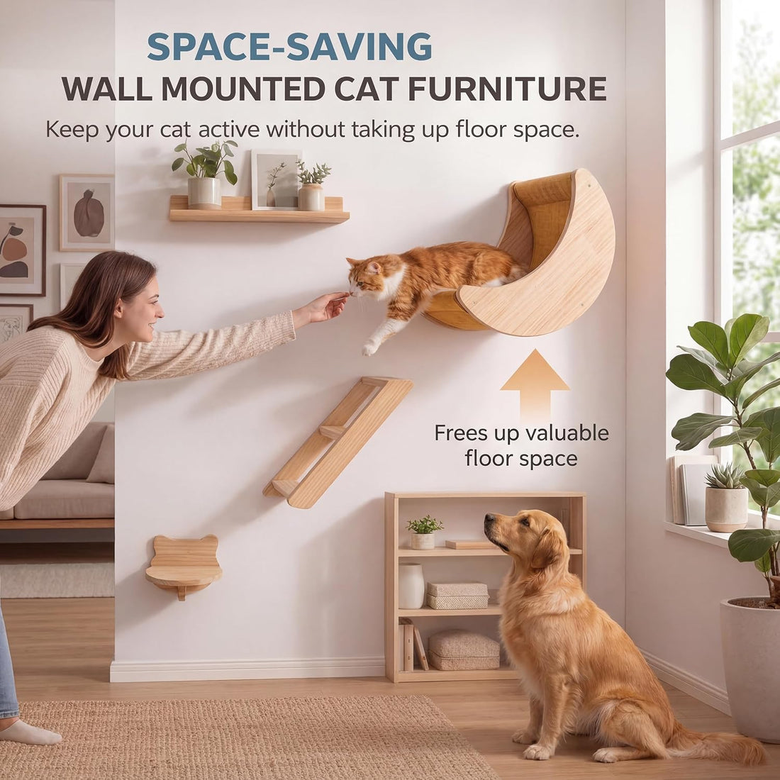 Cat Wall Shelves, Solid Wood Moon Bed