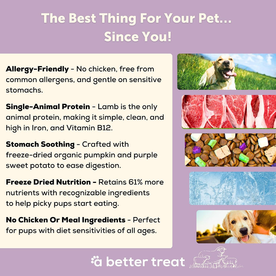 A Better Treat | Allergy Friendly Lamb Dry Dog Food | Raw You Can See