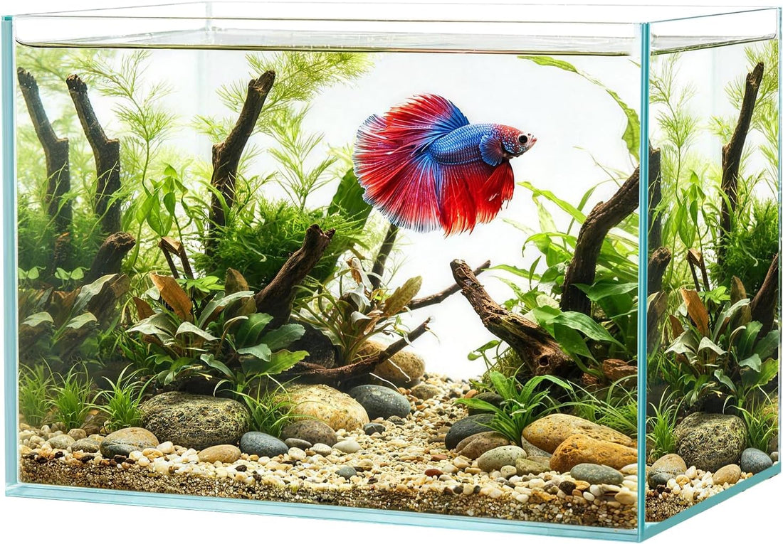 Hjarta 3 Gallons Fish Tank, Ultra-Clear Rimless Aquarium