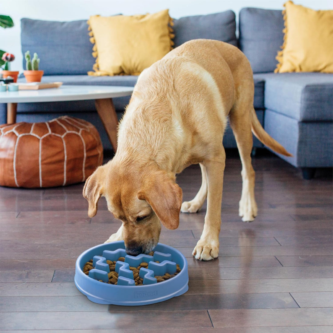 Outward Hound Fun Feeder Slo Bowl – Large 4‑Cup Capacity, Slow Feeding