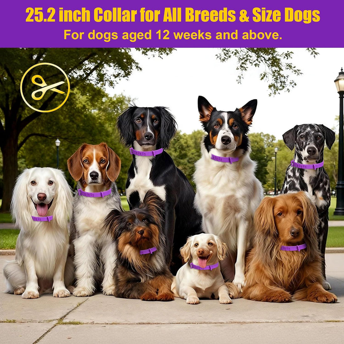 4 Pack Dog Collars for Small Medium Large Dog, Flea and Tick Collar
