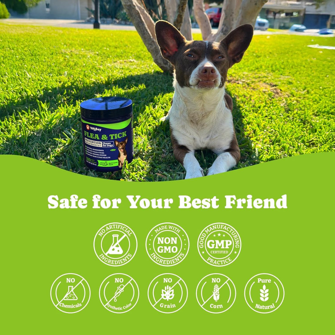 Flea & Tick Prevention for Dogs Chewables,Oral Flea Pills