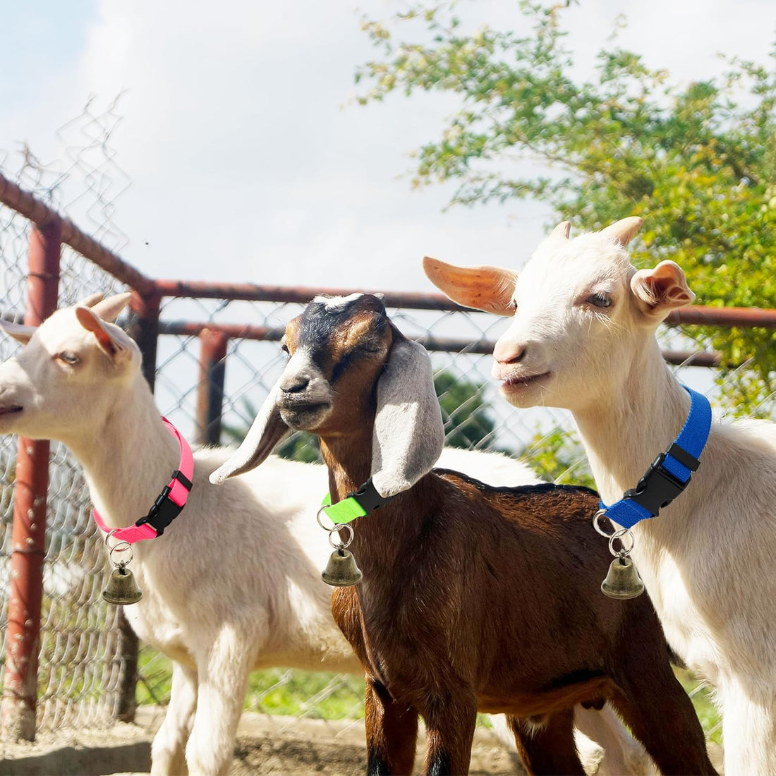 3 Pack Goat Collars with Loud Bells, Anti-Lost Grazing Pet Collar