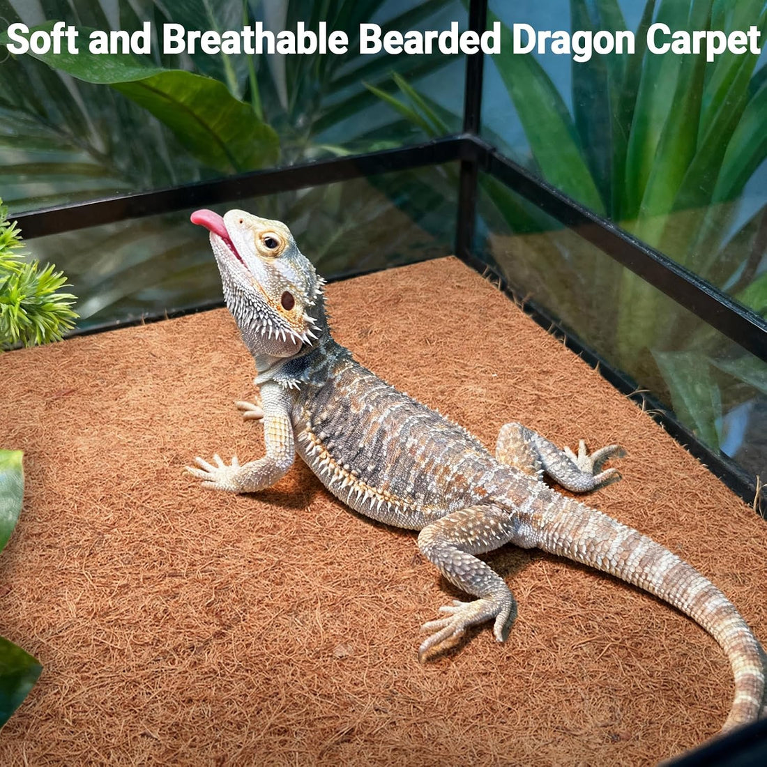ZeeDix 10 Pcs Reptile Carpet 12x12 Inch Coconut Fiber Mat for Tank