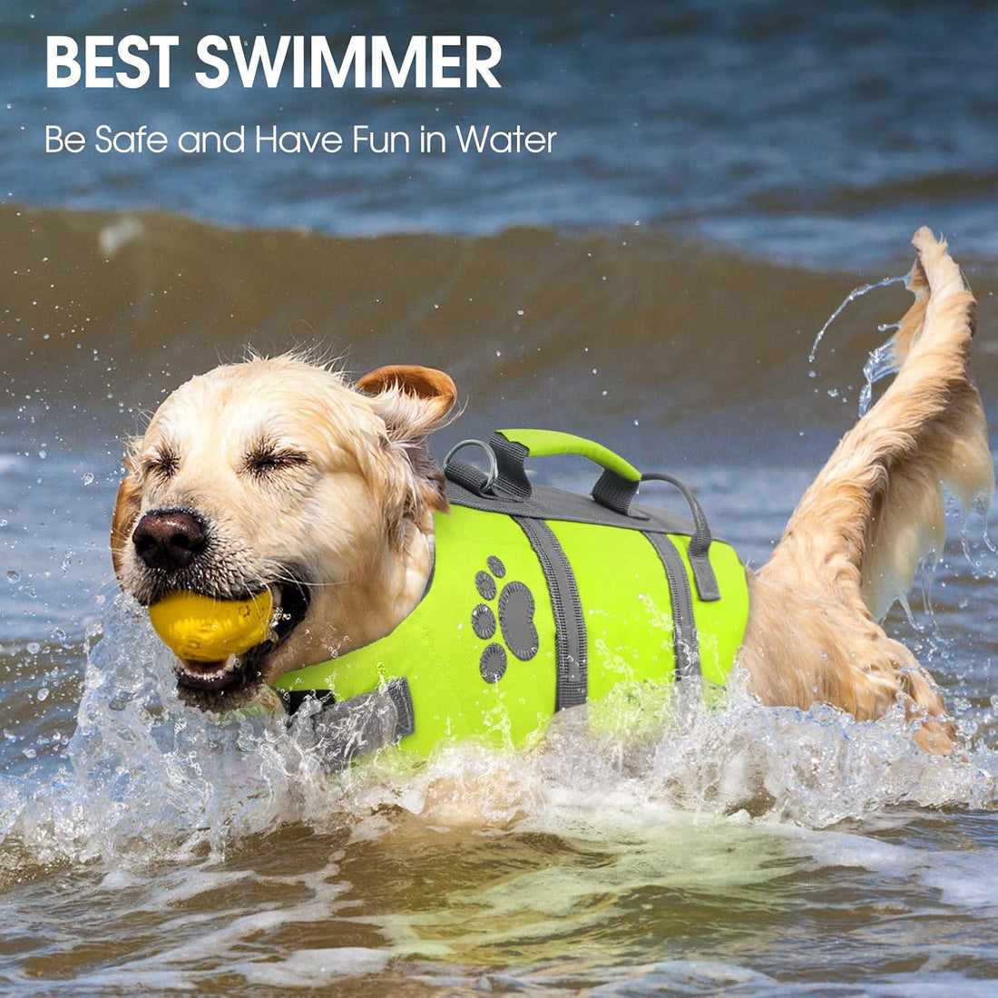 Queenmore Small Dog Life Jacket