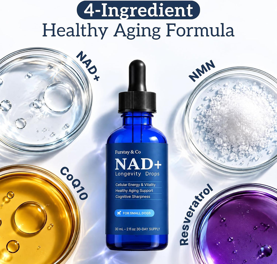 NAD+ Supplement for Senior Dogs, Small Dogs