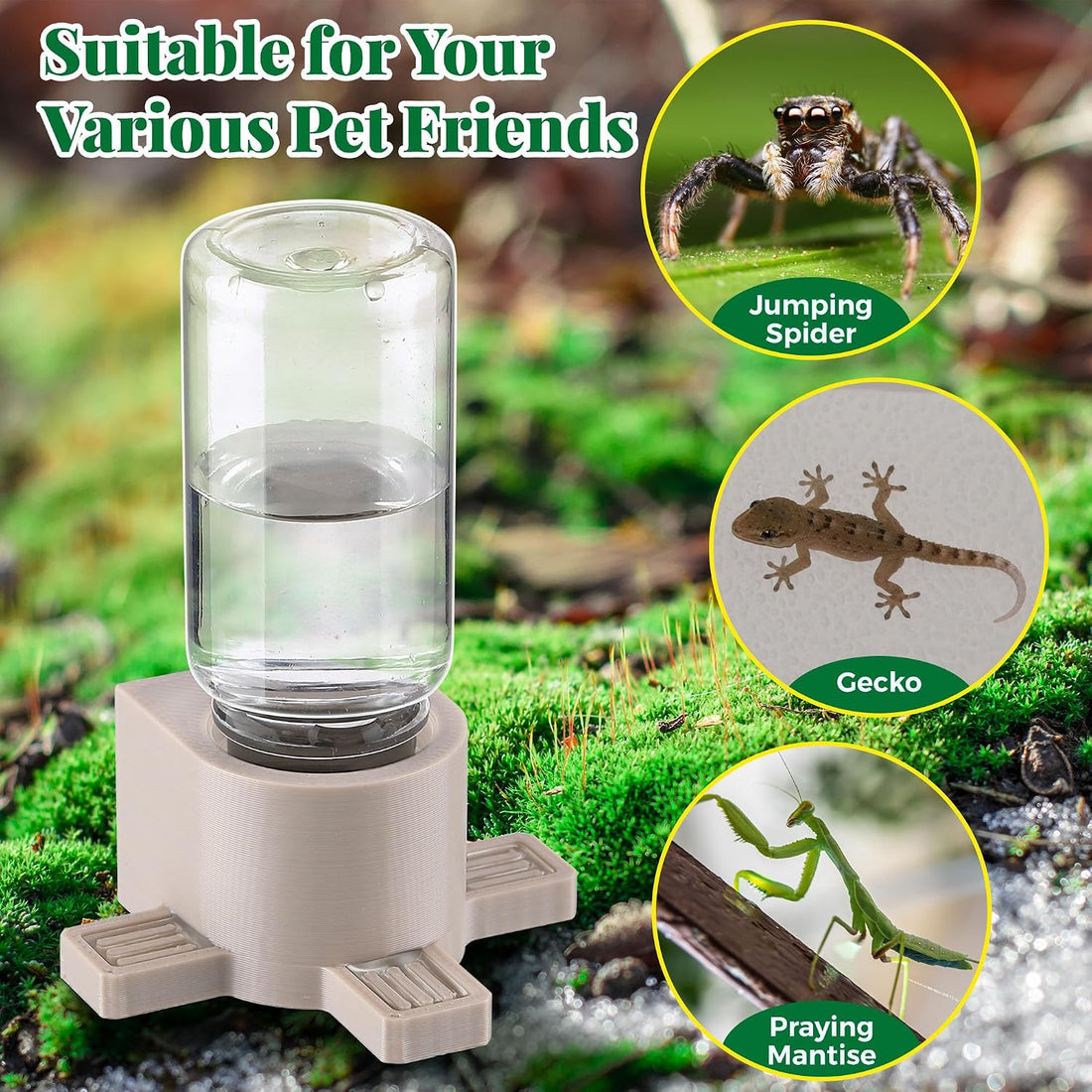 2 Pcs 10ML Jumping Spider Water Dispenser with Magnets