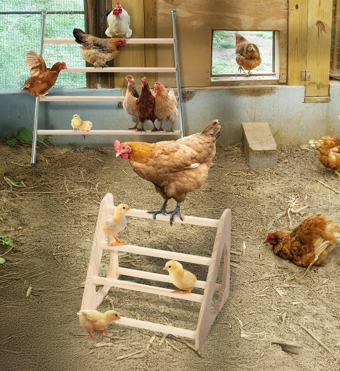 PETSFIT Baby Chick Roosting Bar, Anti-Rotation, Solid Wood