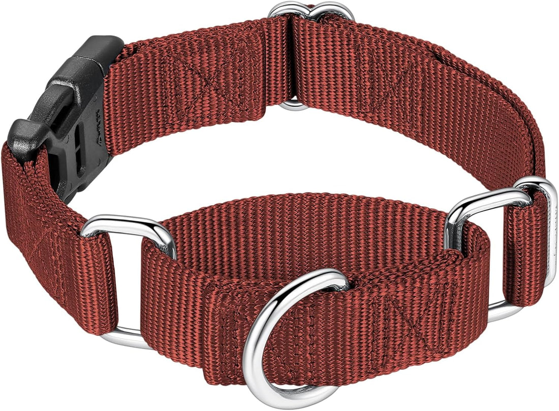 Mikivery Martingale Collar for Dogs Nylon Dog Collar with Quick