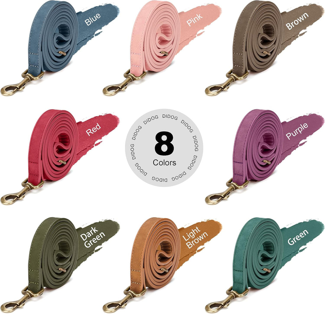 Didog Stylish PU Leather Dog Leash for Medium Dogs