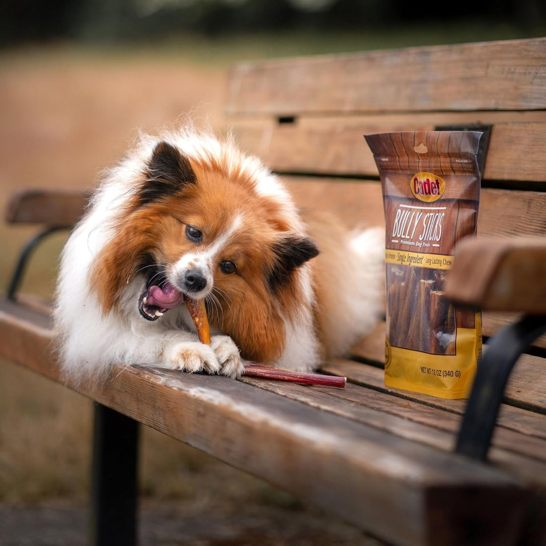 Cadet Bully Sticks for Small Dogs, All-Natural Beef Pizzle
