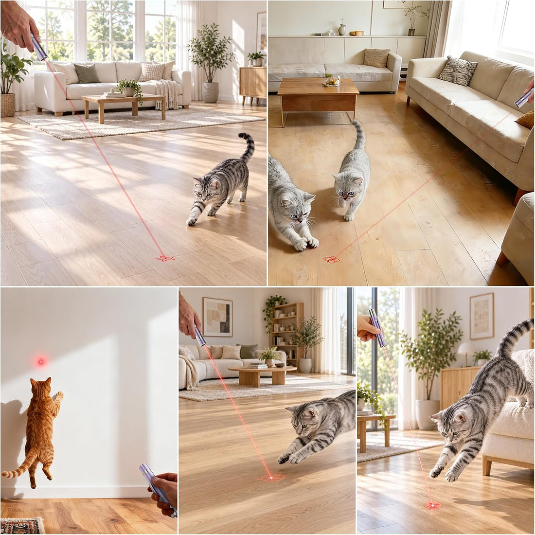 Cat Toy, Interactive USB Rechargeable Chase Toy for Indoor Pet Cat