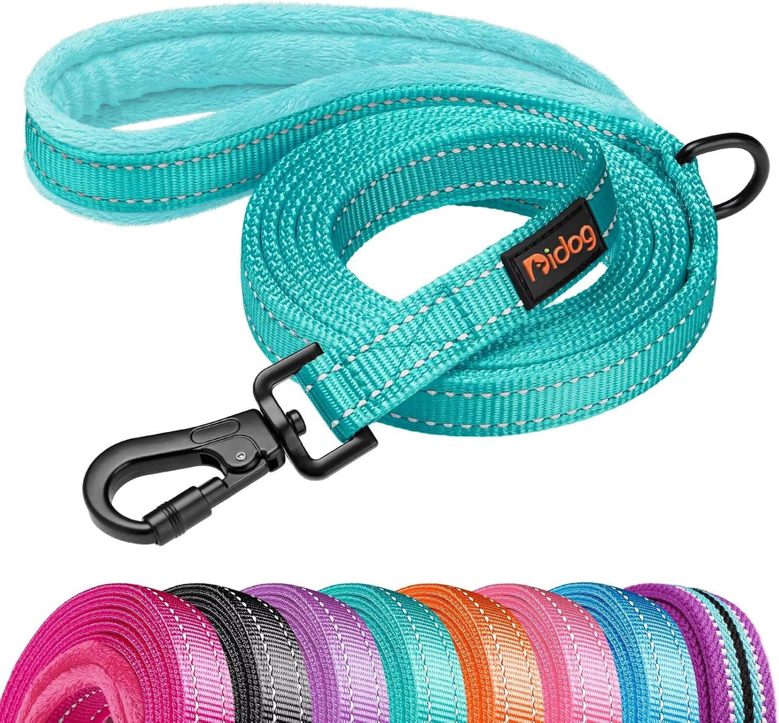 Didog 6FT Reflective Dog Leash for Small Medium Dogs, Slim 5/8" Width