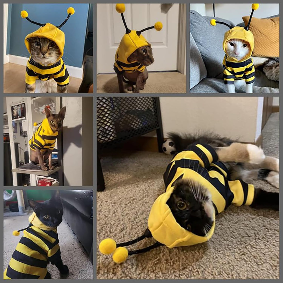 Dog Bee Costume Outfit Bumblebee Hoodie for Small Medium Pet Cat