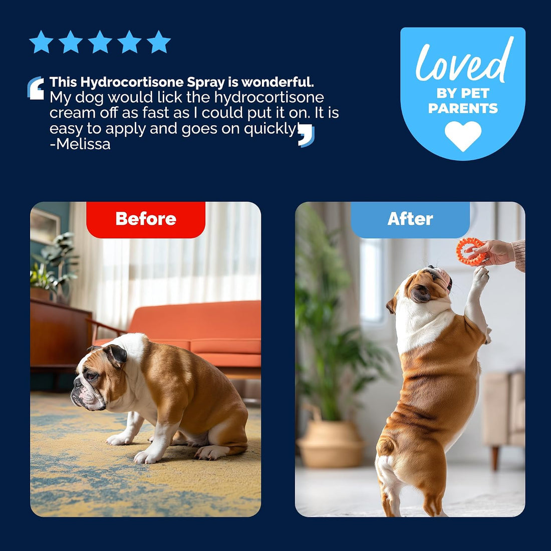 Vetnique Glandex Medicated Dog Butt Wipes or Spray for Dog Scooting