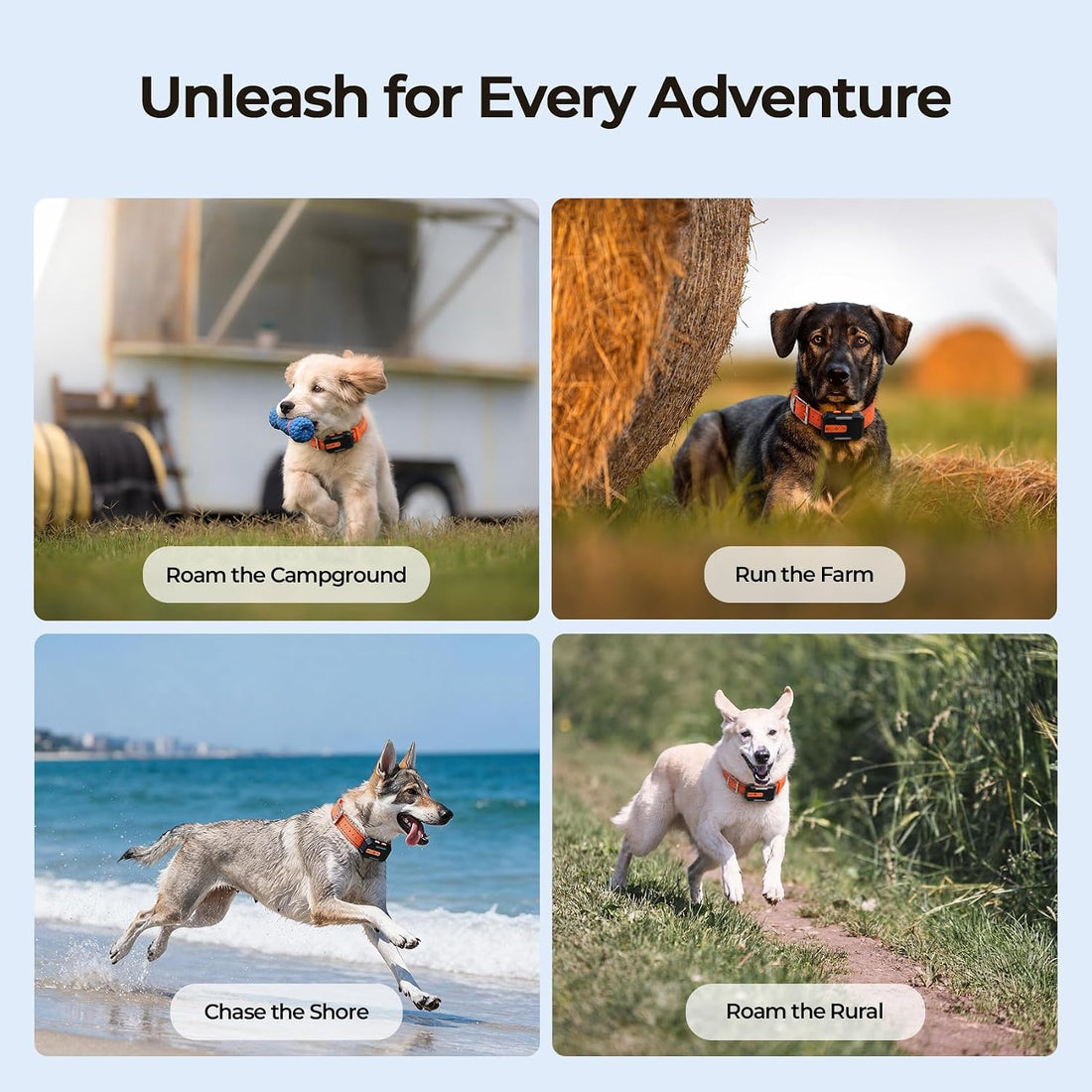 Dog GPS Tracker No Subscription, Off-Grid, Up to 3 Mile Long Range