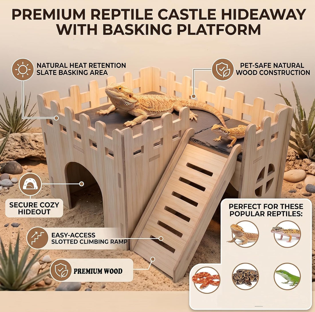 Bearded Dragon Hide Cave Basking Platform